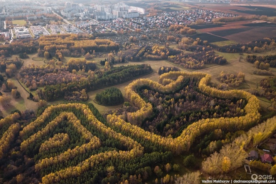 Лесопарк Синягина Краснообск