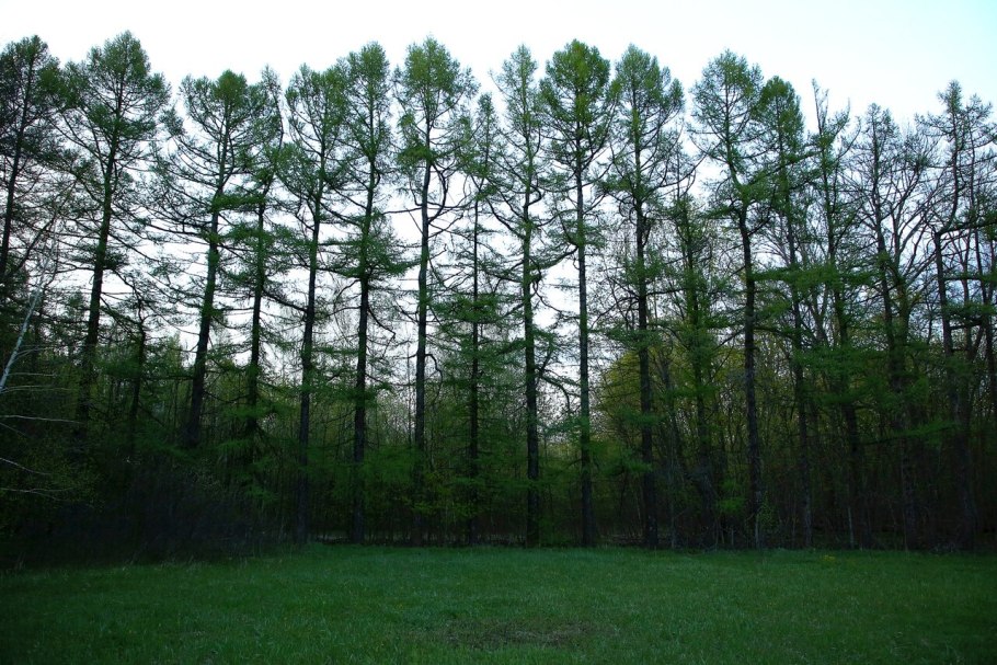 Контрастная природа