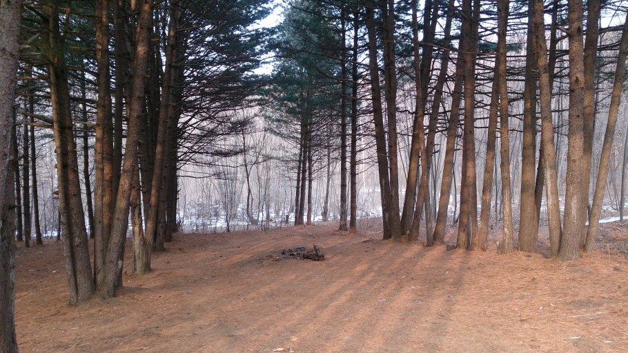 Хвойный Бор город