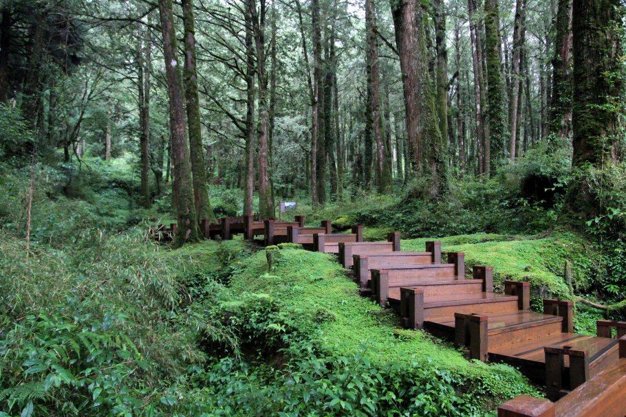 Урочище Шугай в Пензенской области