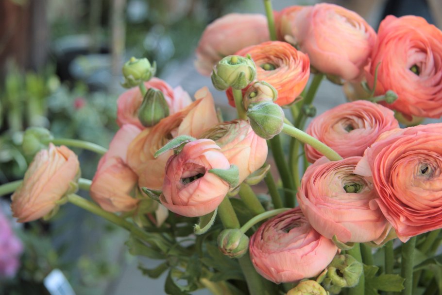 Лютик оригами