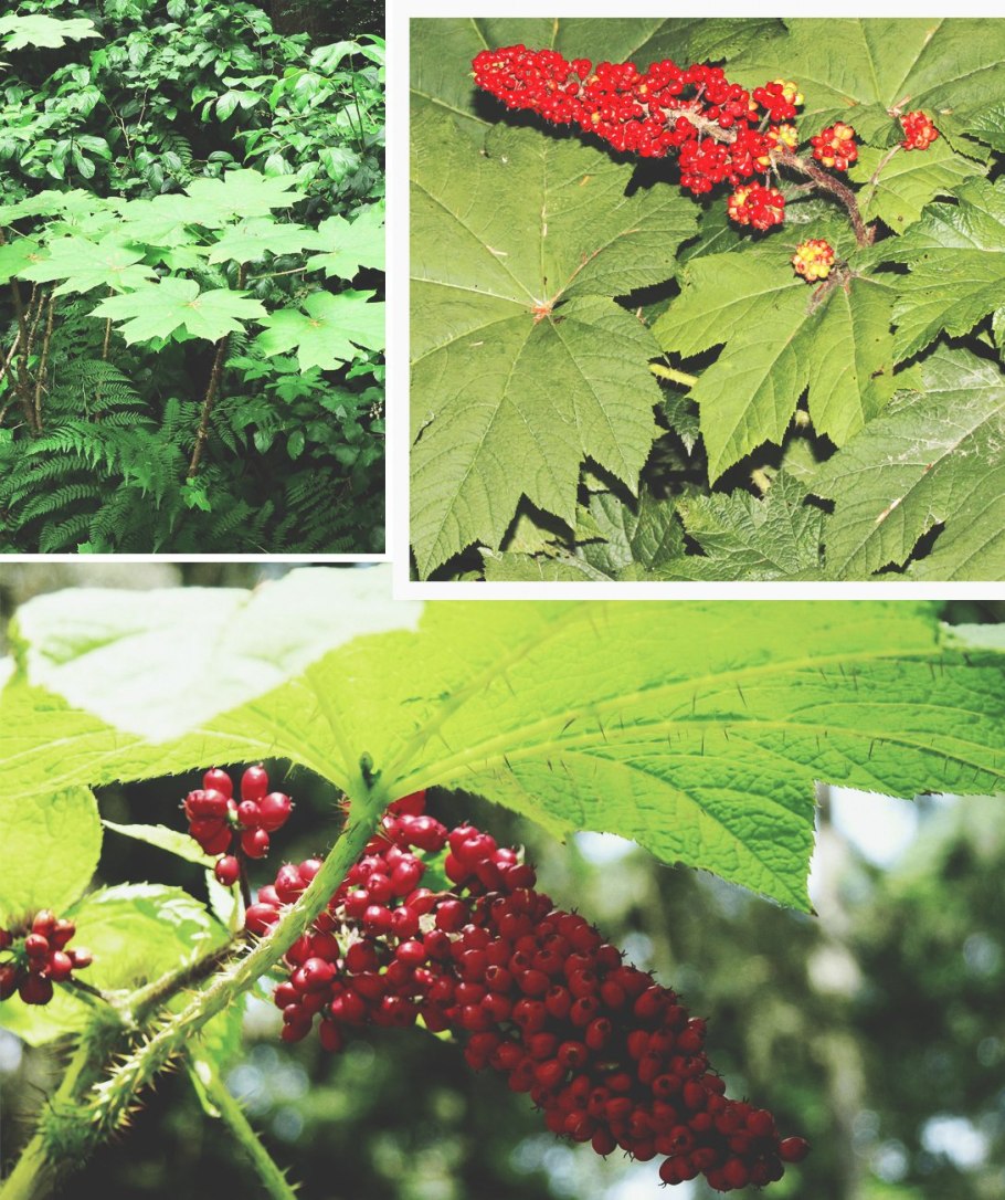 Болото заманиха Безенчук