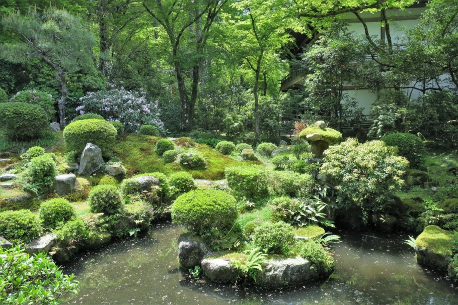Сад мхов монастыря Сайходзи в Киото