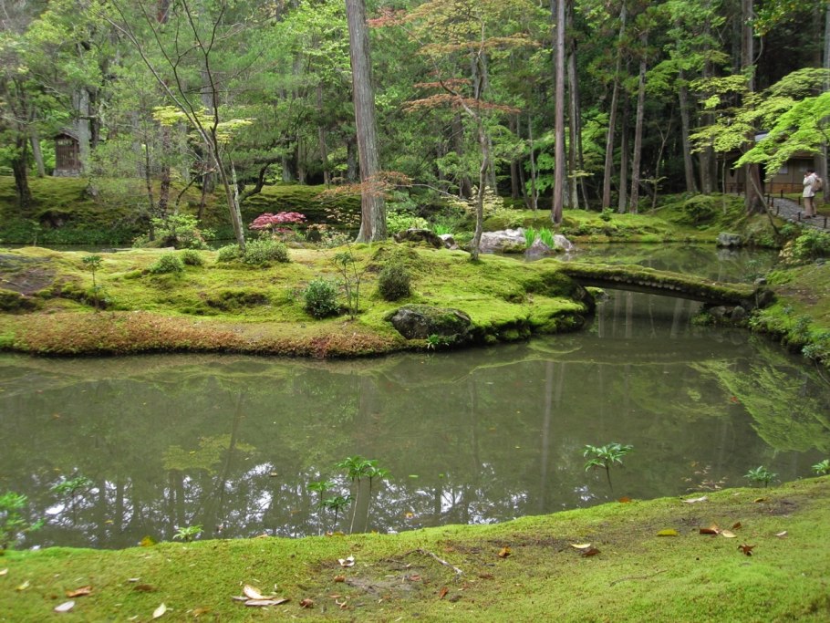 Ссора скандал