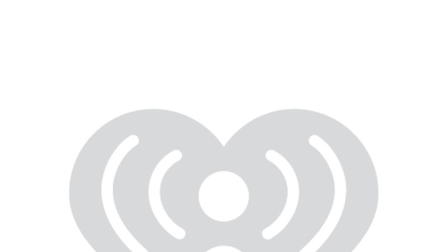 Леспедеца биколор