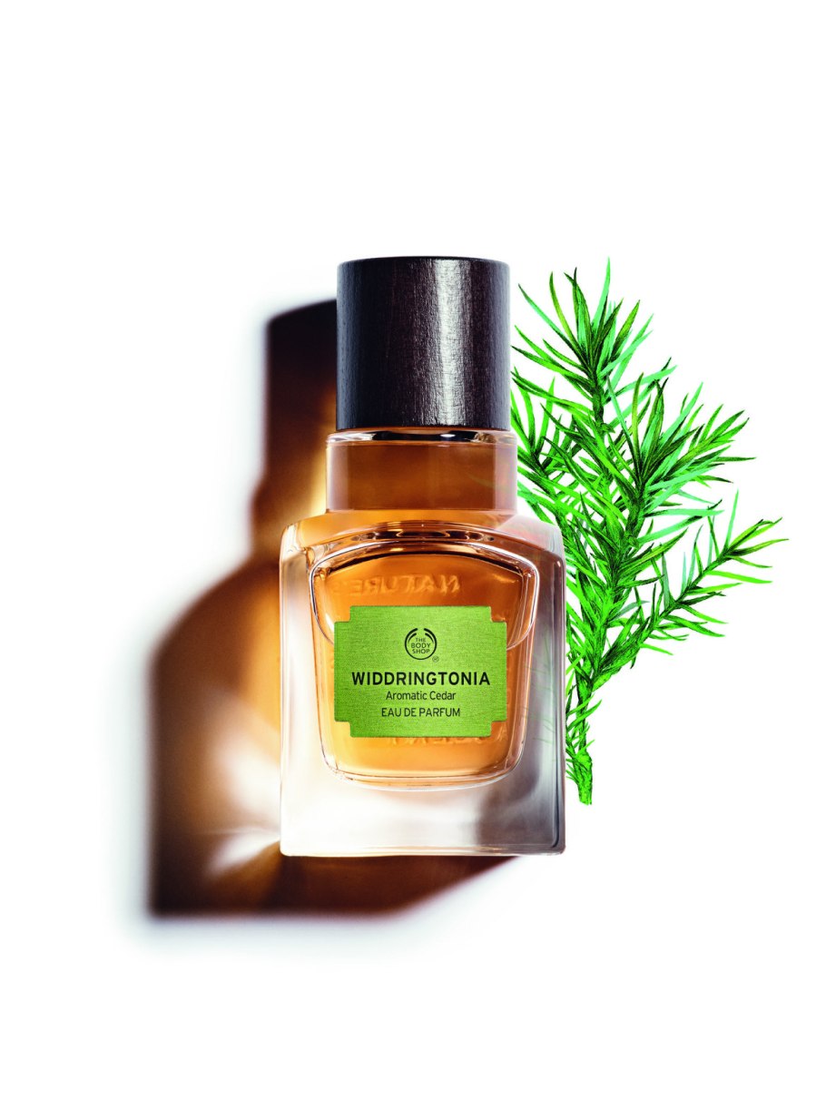 Виддрингтония духи