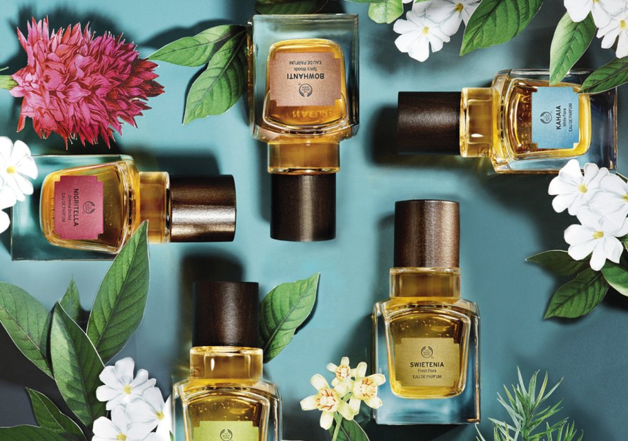 Widdringtonia cedarbergensis