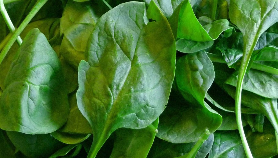 Шпинат огородный вкус