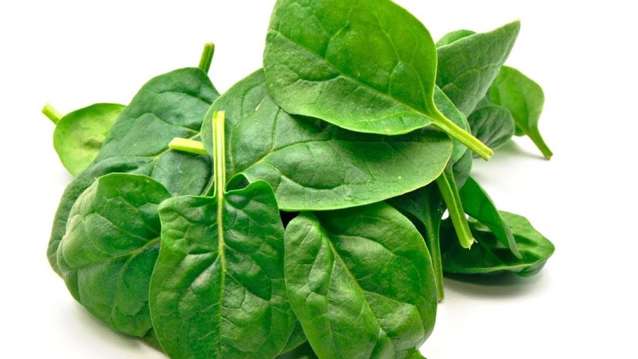 Шпинат на белом фоне