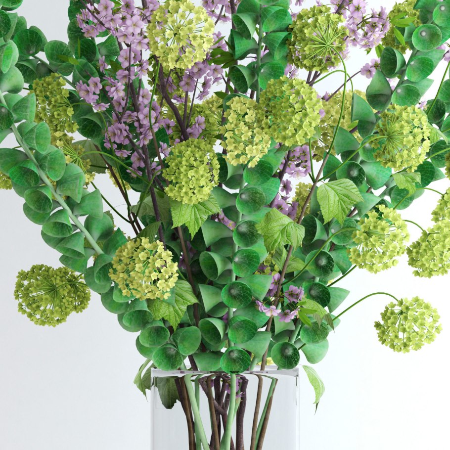 Молюцелла ирландские колокольчики