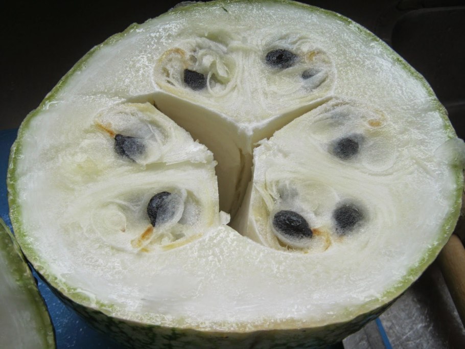 Тыква зеленая