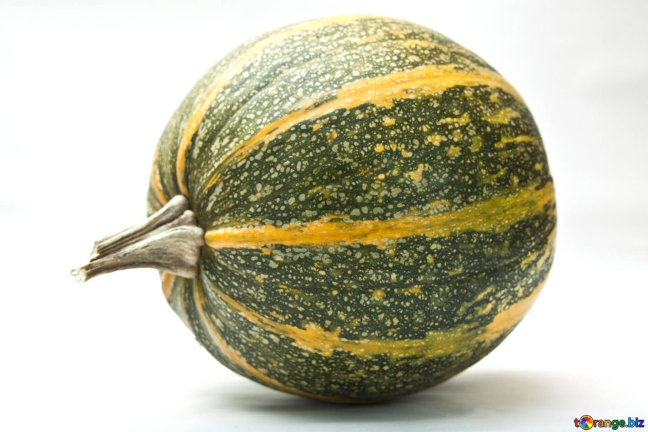 Тыква пестрая