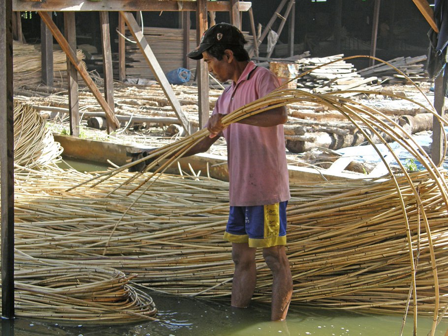 Ротанговая лиана