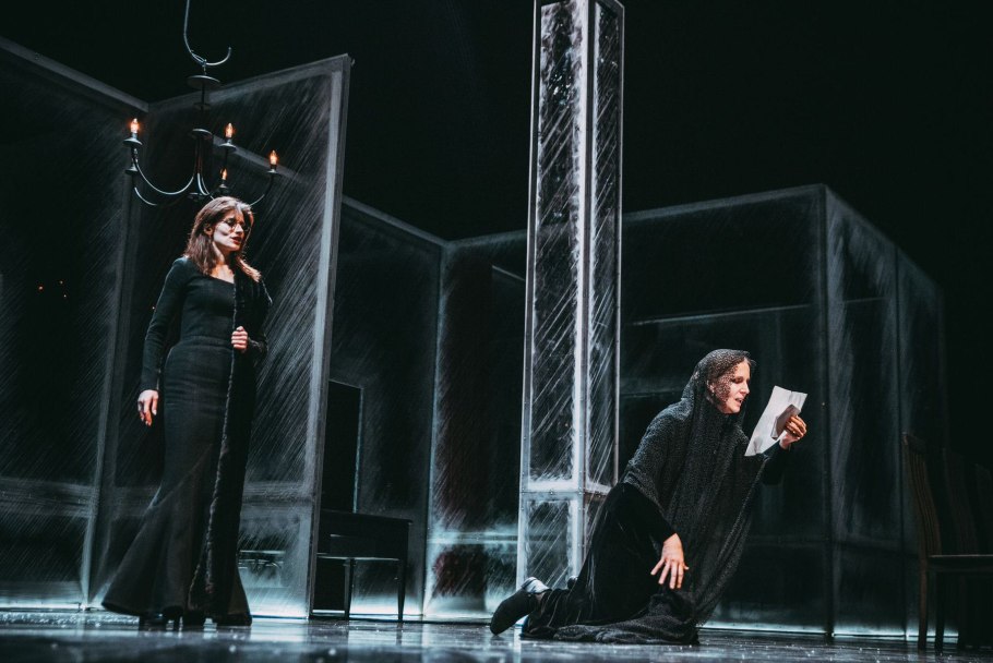 Метросидерос кермадекский