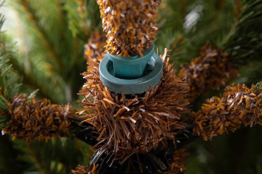 Ель гималайская, Смита