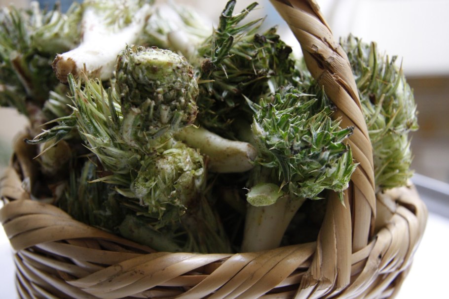 Бонни Роттен школьница