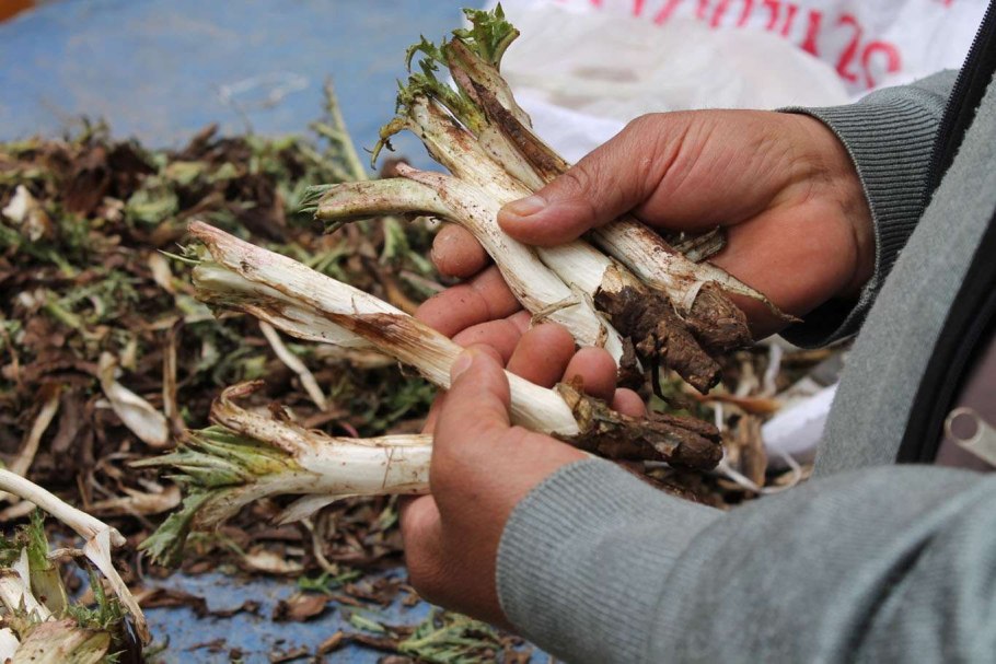 Deve Dikeni Otu русский язык