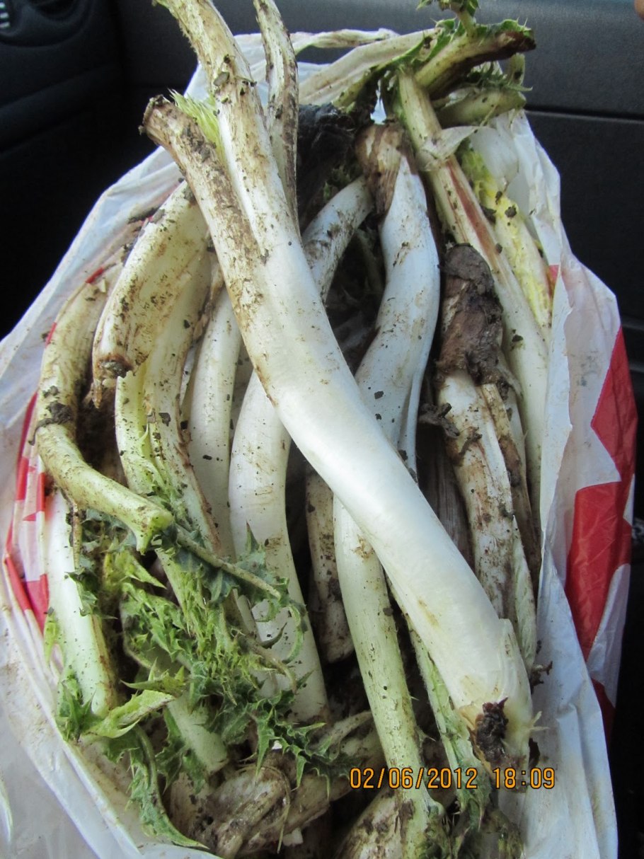 Алюминий 0881 pe