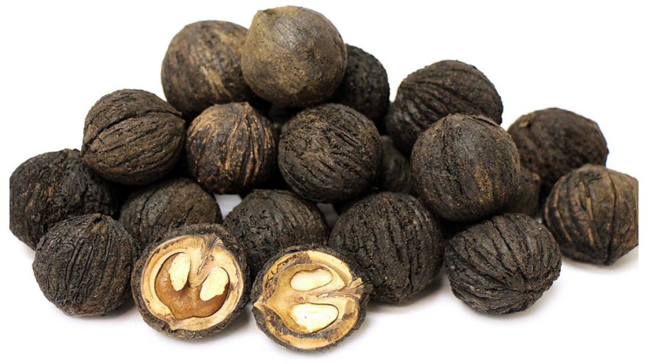 Juglans nigra