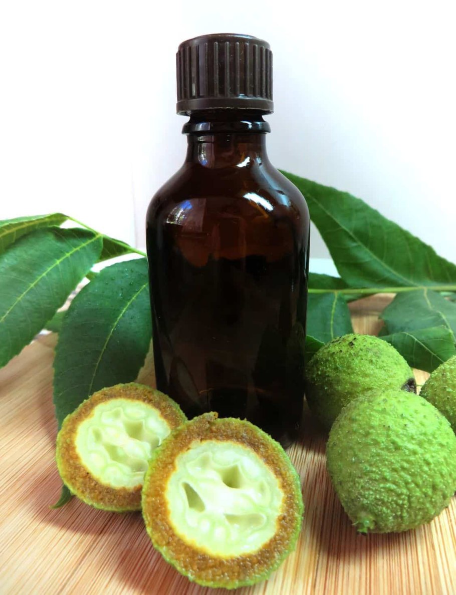 Диссатрофы черный орех