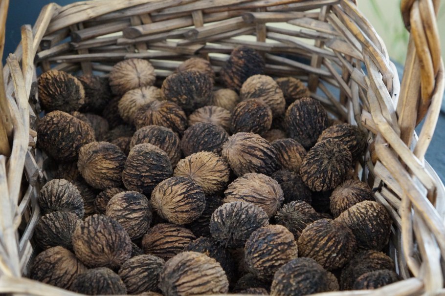 Скорлупа черного ореха