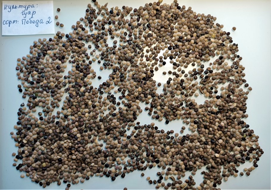 Гуаровая смола