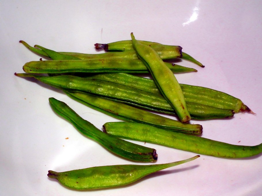 Плоды циамопсис четырехкрыльниковый