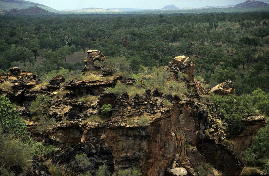 Восточные танцовщицы фотосессия в интерьере