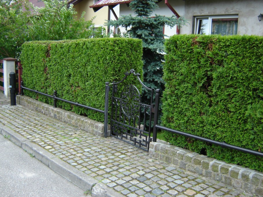 Калитка в живой изгороди