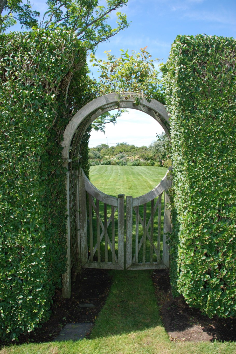 Арка из живой изгороди