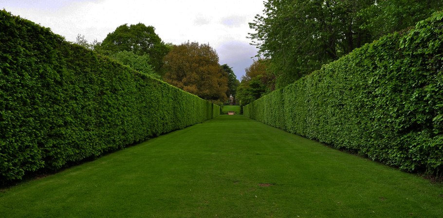 Красивый забор