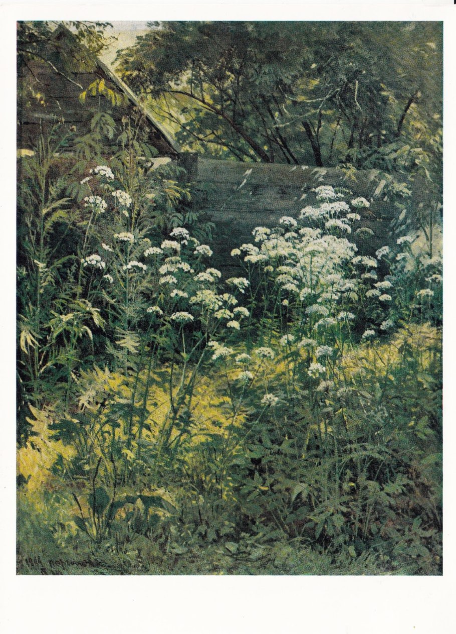 Шишкин Иван Иванович полевые цветы