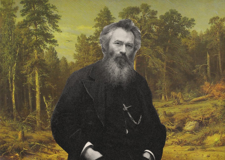 Корабельная роща 1898 Шишкин