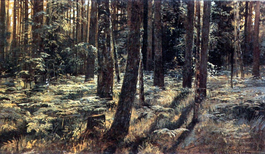 Картины и.и. Шишкина 1884 г
