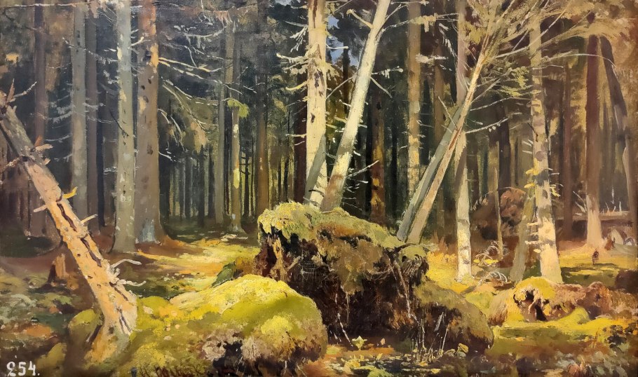 Фуопсис многолетник