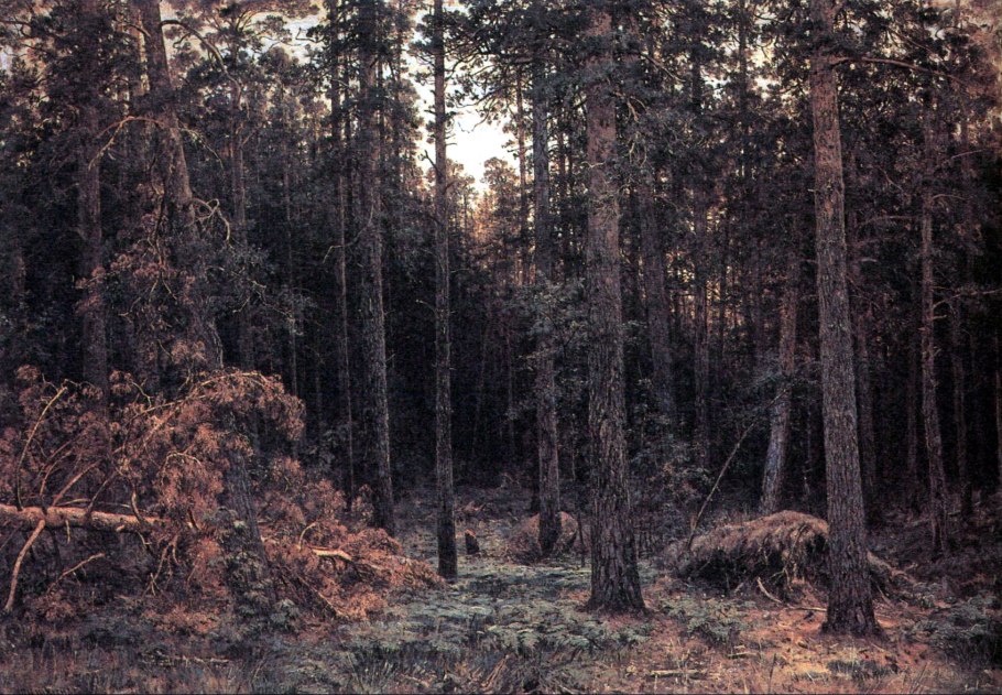 Шишкин сосновый лес 1885