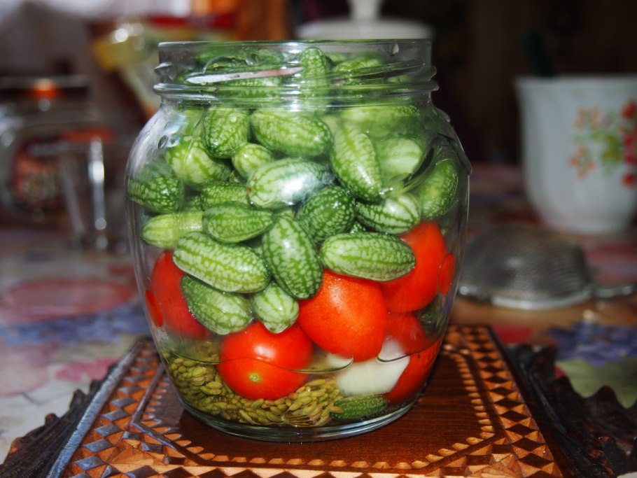 Мелотрия Колибри