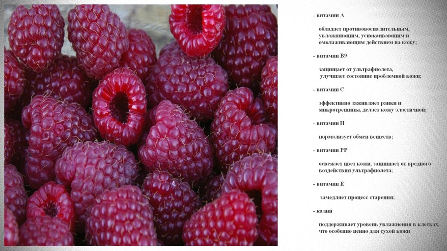 Малина перспективные сорта Маросейка