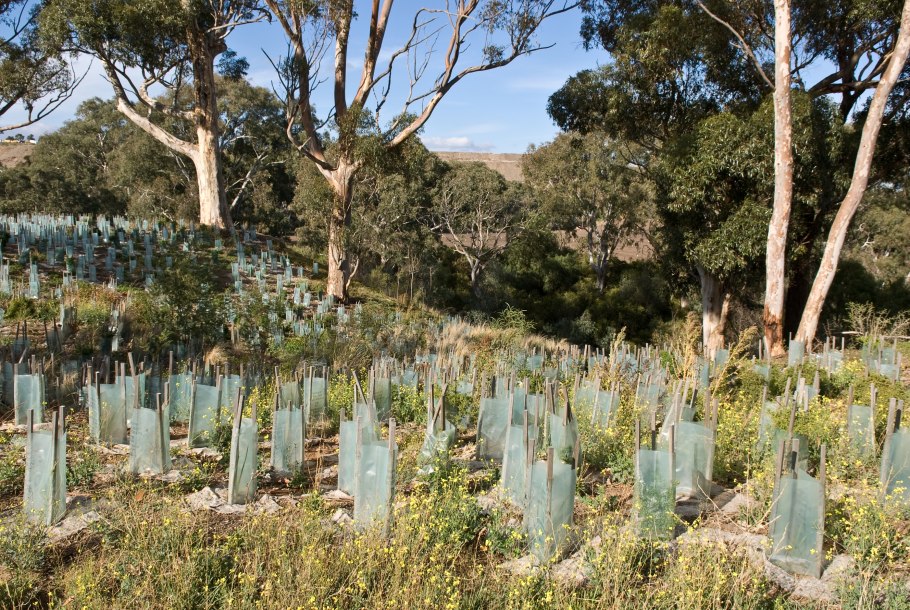 Аниме Аква в платье