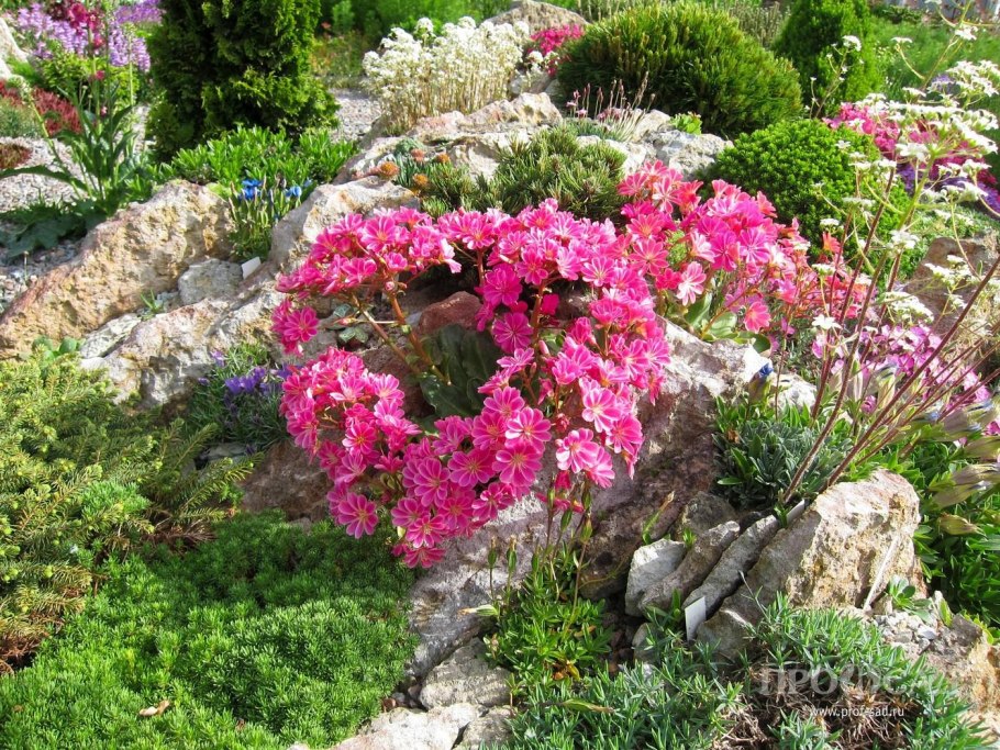 Люстра Freya Esme fr1005pl-05g