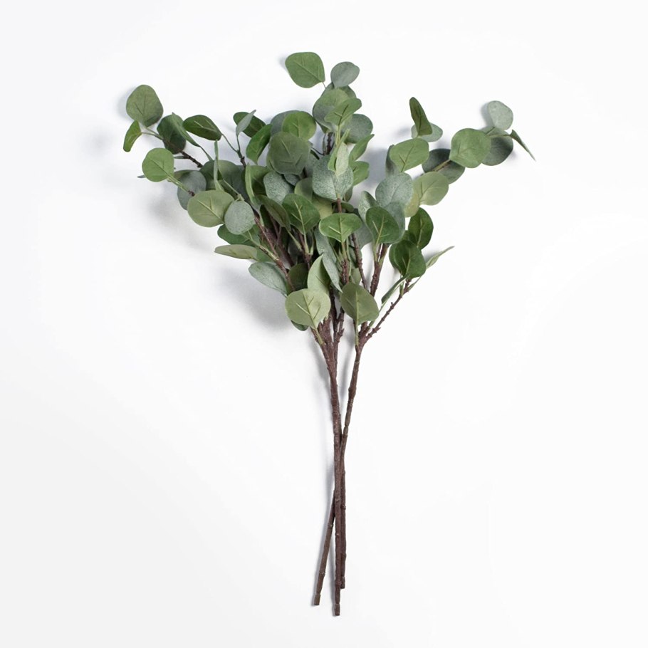 Эвкалипт parvifolia