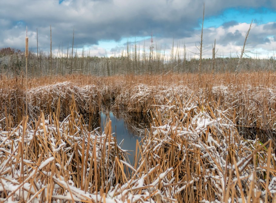 Урочище Берказан камыш