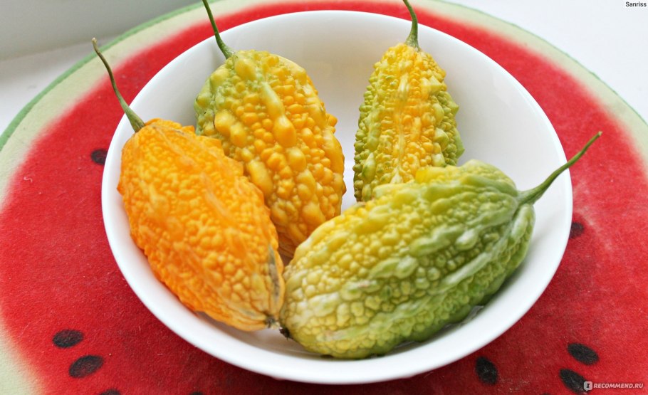 Крымский гранат момордика