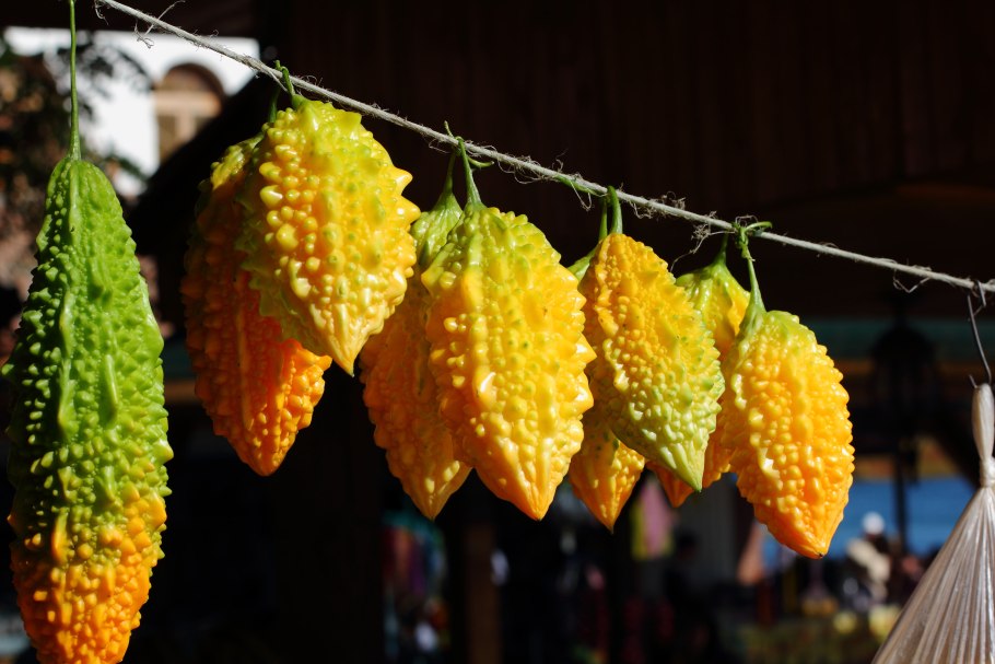 Момордика желтый дракон