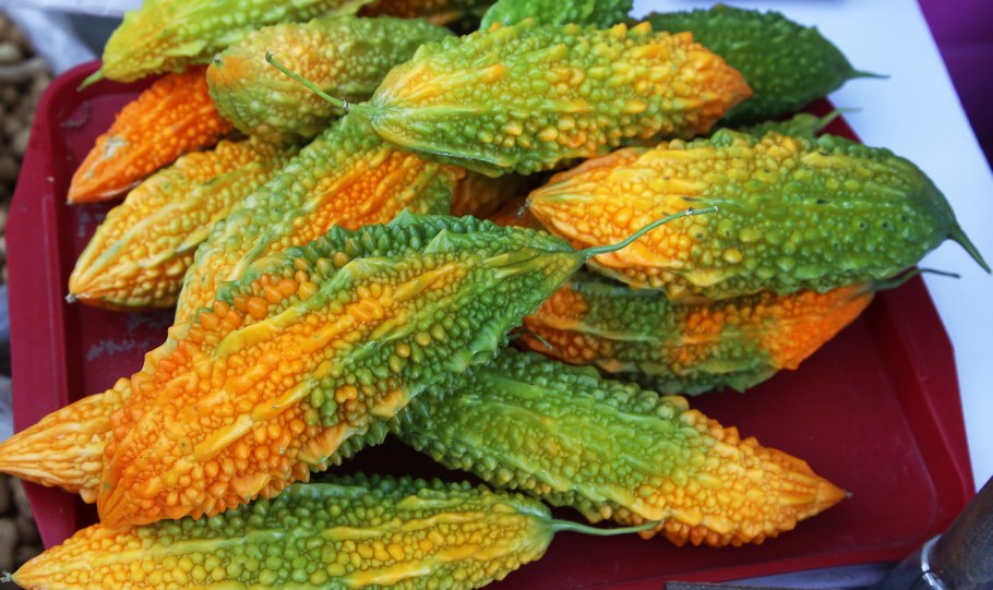 Индийский огурец момордика