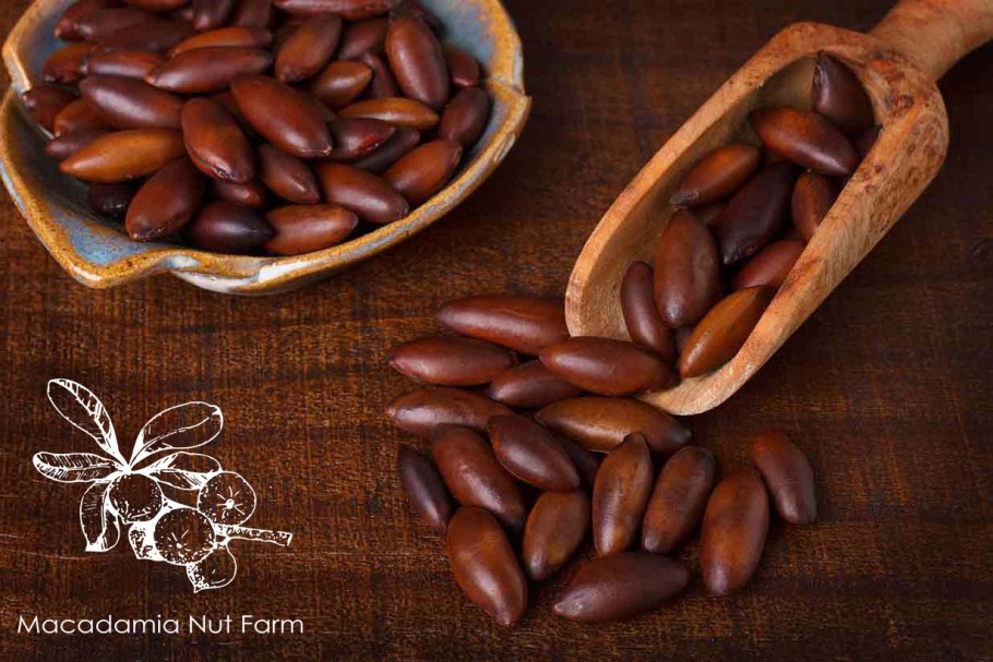 Орешки в баре