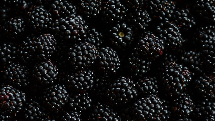 Малина и ежевика