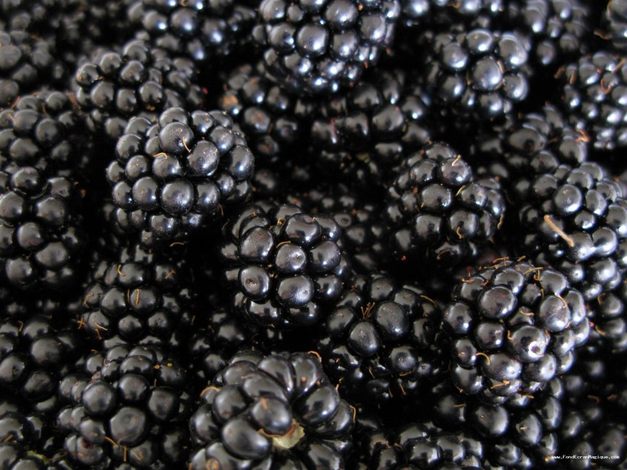 Темные фрукты