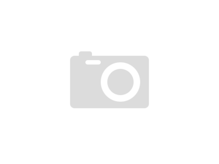 Жилки листьев