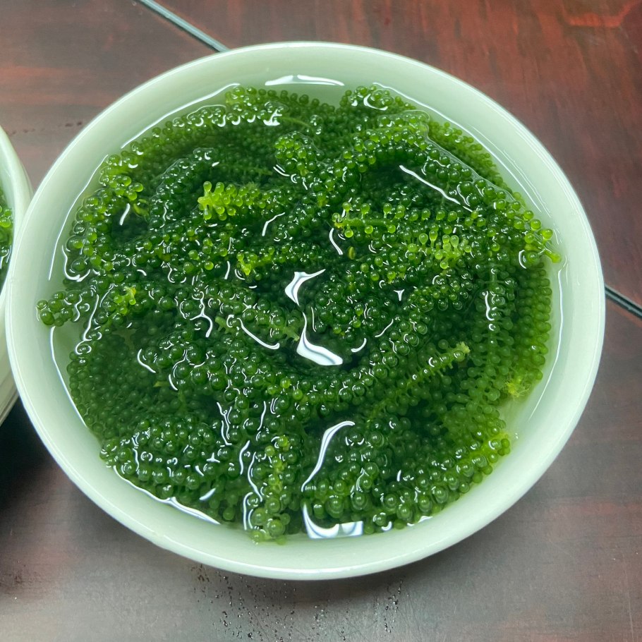 Морской виноград по-корейски